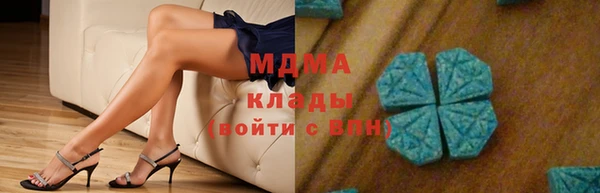 шишки Тында