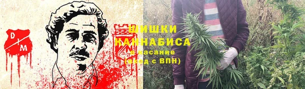 трава Арсеньев