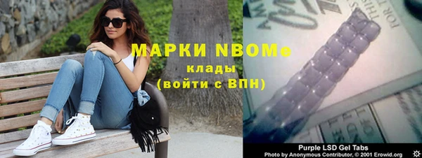 прущий лед Алзамай