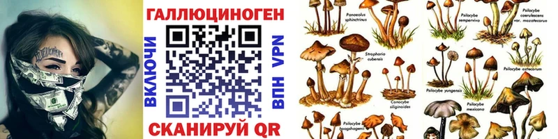 магазин продажи наркотиков  Южно-Сухокумск  Псилоцибиновые грибы Psilocybine cubensis 